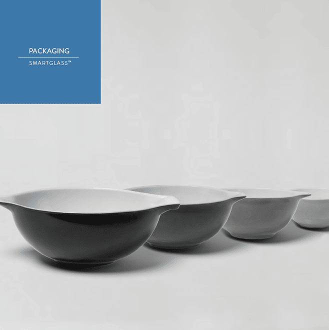 SmartGlassB (1)